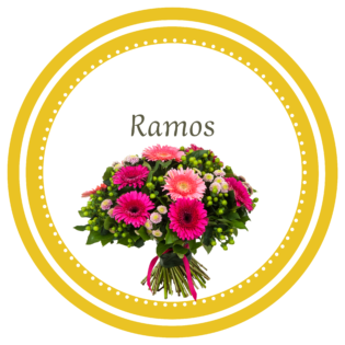 Ramos variados