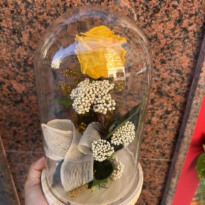 Cúpula Rosa Amarilla preservada