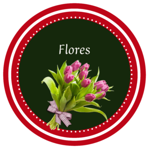 💐Flores