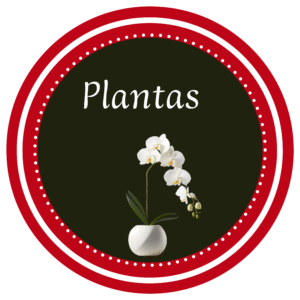 Plantas