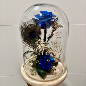 Cúpula Rosa azul preservada