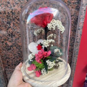 Rosa Roja Preservada en cúpula