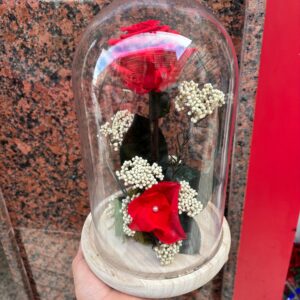 Cúpula Rosa Roja Preservada