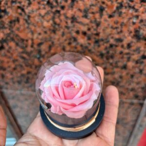 Mini Cúpula con Rosa preservada