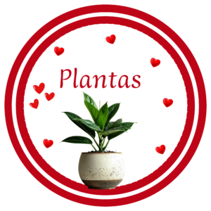 Plantas
