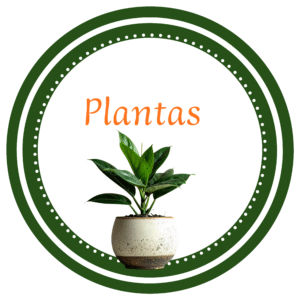 Plantas