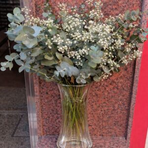 Ramo bruma de eucalipto + Florero