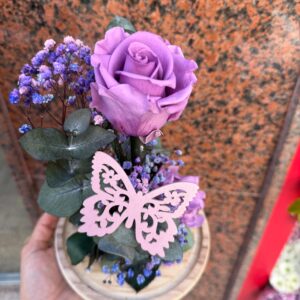 Cúpula Rosa preservada Lavanda
