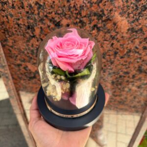 1 Rosa preservada DÍA DE LA MADRE cúpula mediana