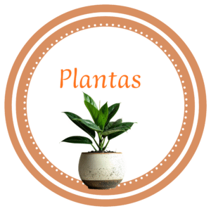 Plantas