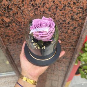 Rosa lavanda preservada en cúpula mediana
