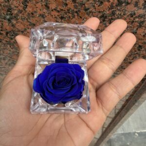 Mini Rosa preservada azul