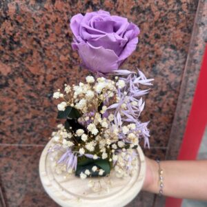 Cúpula Rosa preservada Lavanda 2