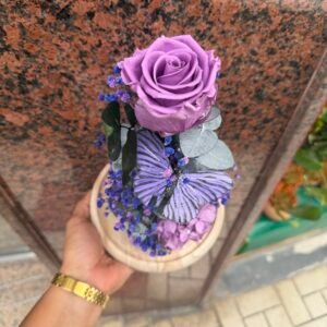 Cúpula Rosa preservada Lavanda 🪻