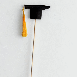 Pick Birrete Graduación 🎓