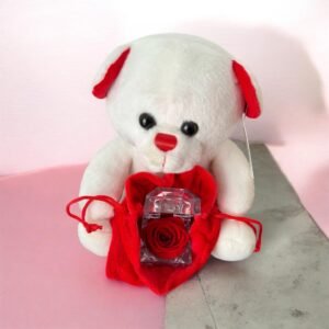 Mini pack Oso sorpresa ❤️