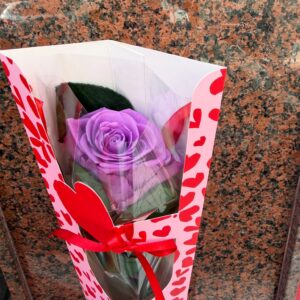 Caja Rosa Lavanda preservada