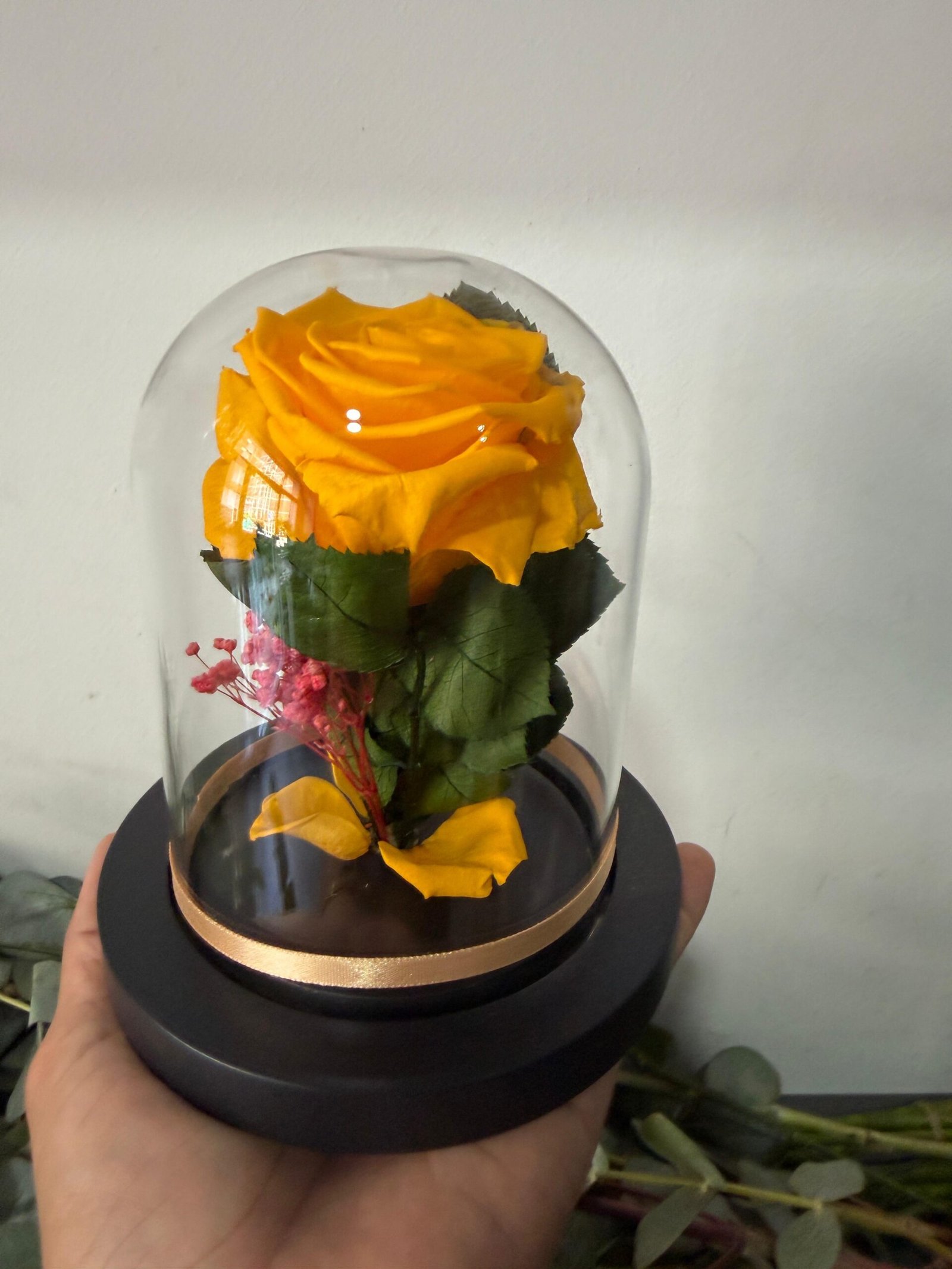Rosa Amarilla preservada en cúpula mediana - Imagen 4