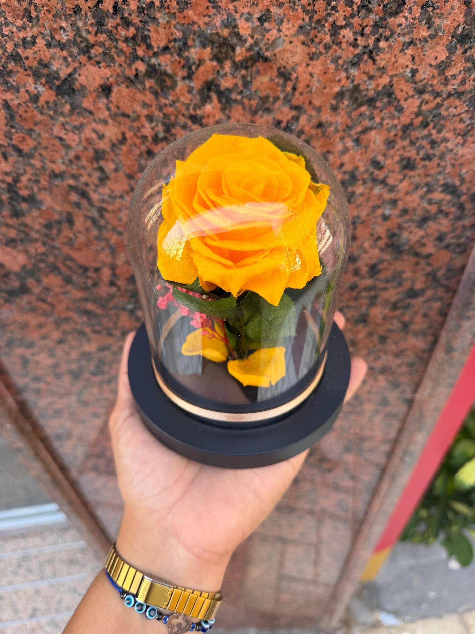 Rosa Amarilla preservada en cúpula mediana