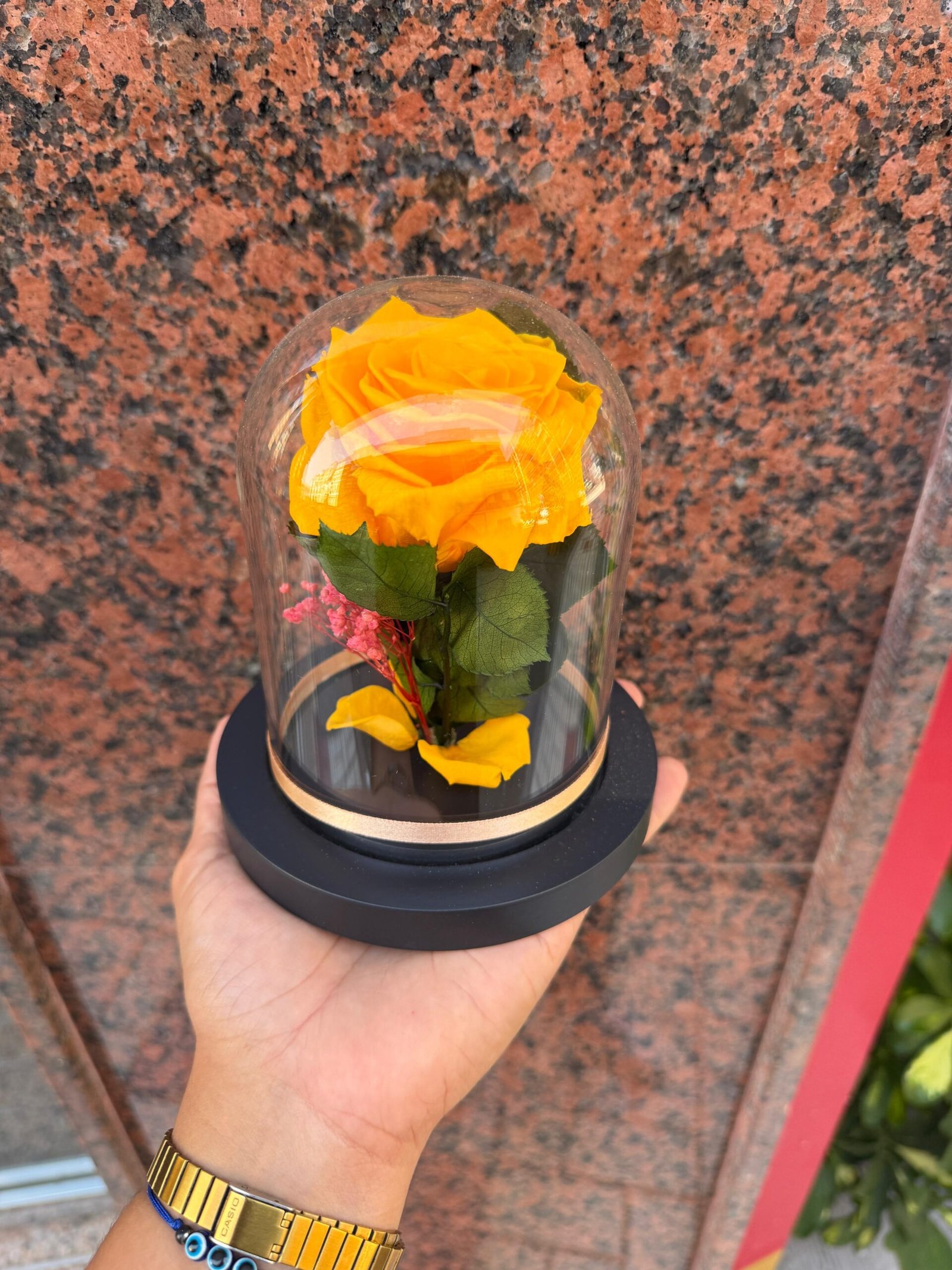 Rosa Amarilla preservada en cúpula mediana - Imagen 2