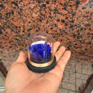 Mini Cúpula con Rosa azul preservada