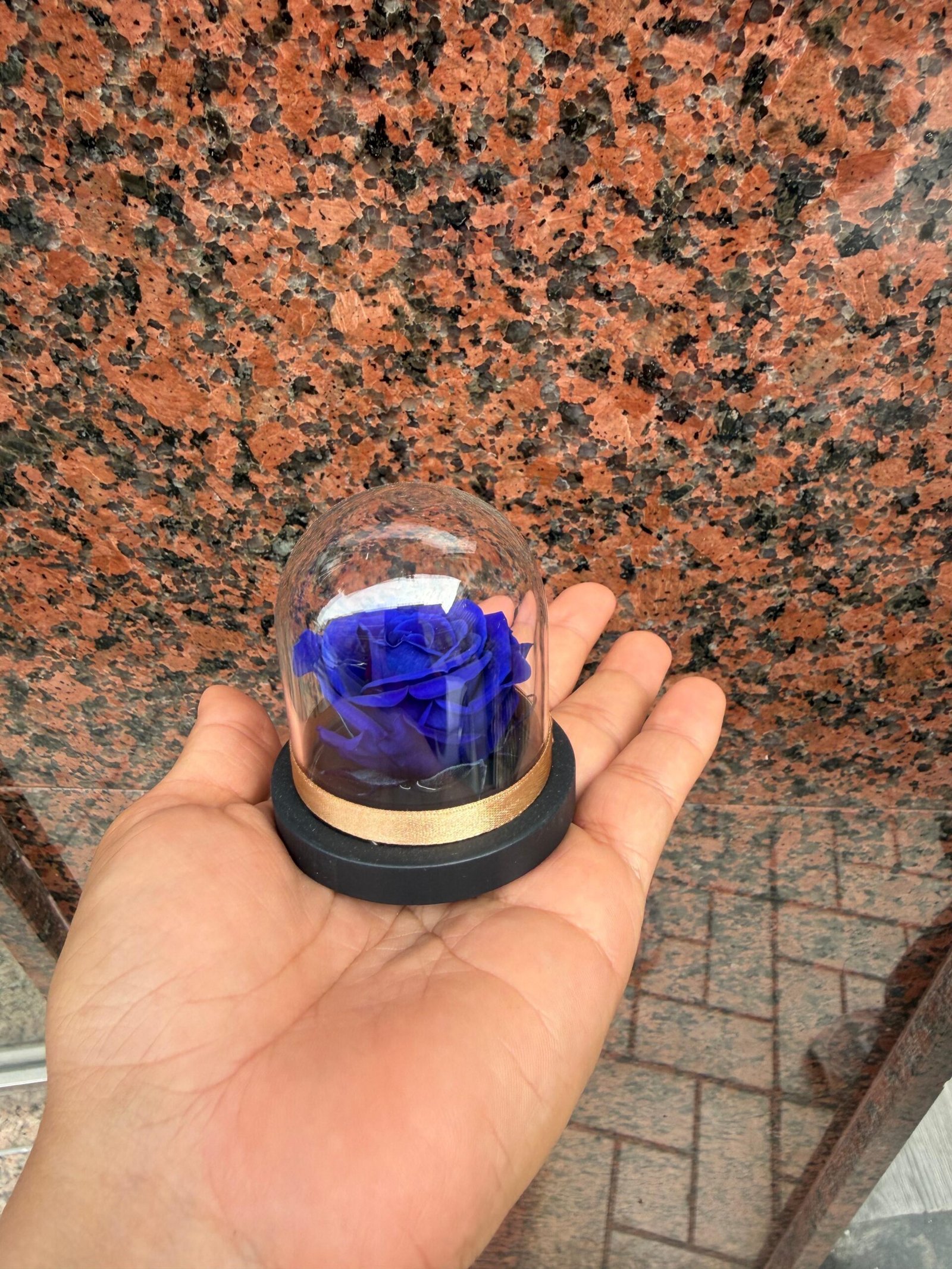 Mini Cúpula con Rosa azul preservada