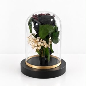 Rosa Negra preservada en cúpula mediana