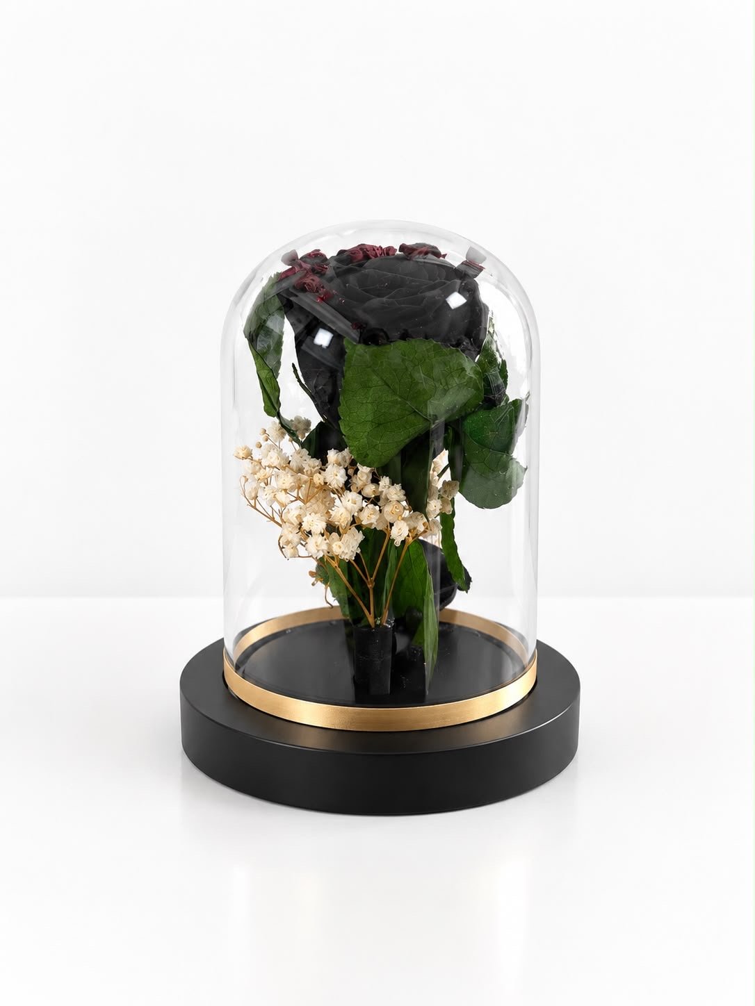 Rosa Negra preservada en cúpula mediana