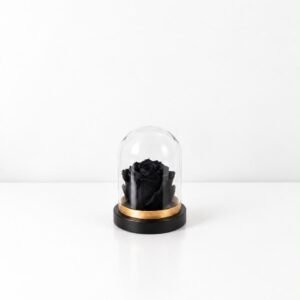 Mini Cúpula con Rosa negra preservada